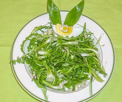 Löwenzahnsalat