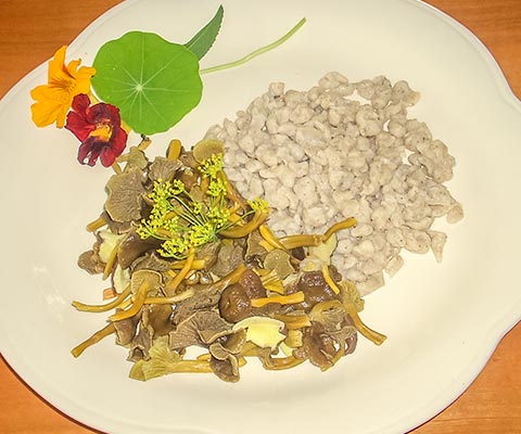 Pilzgericht mit Knöpfli