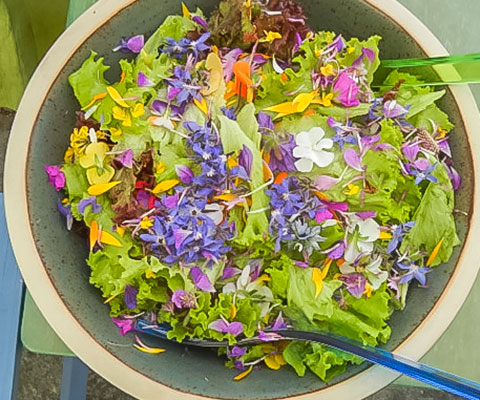 Sommerblüten-Salat